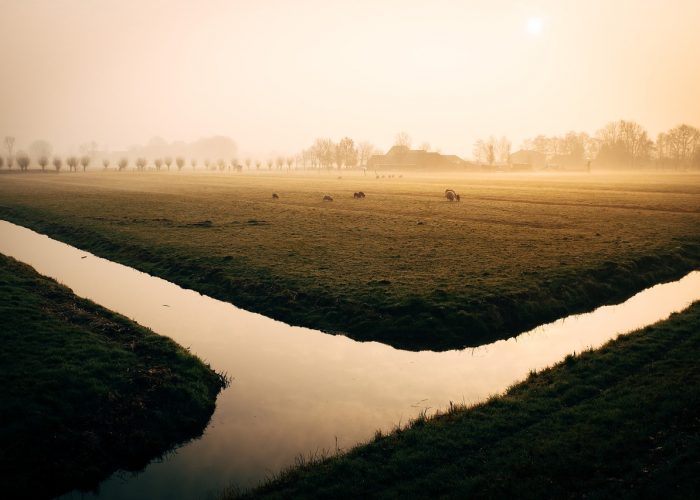 water-933638_1280 water-933638_1280